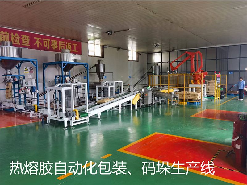 熱熔膠自動(dòng)化包裝、碼垛生產(chǎn)線